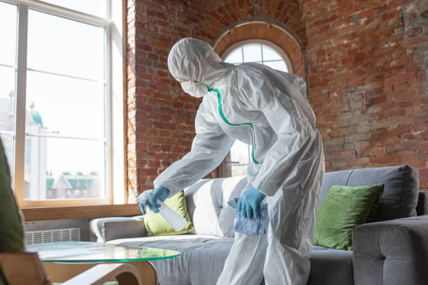 Delphos, OH Mold Removal Services Company